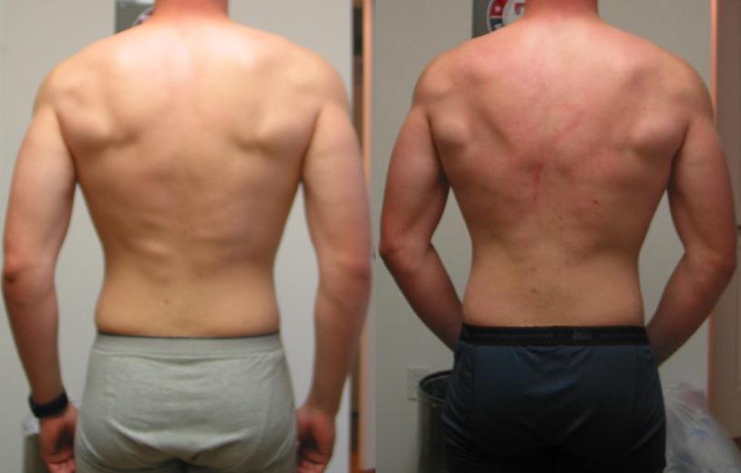 3-Week Mini-Cut (Animal Cuts, no major change in diet/routine) - What Do Ya  Think?  Forums