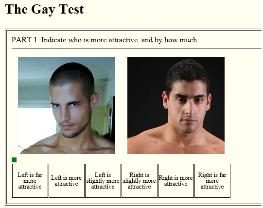 Take A Gay Test 97